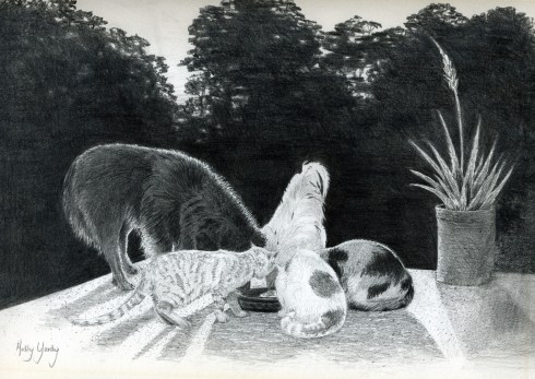 g-Farmhouse Hospitality