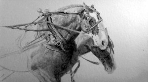 Untitled-Grayscale-close-up